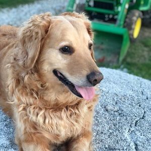 Meet your Posher, Addison